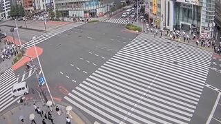Electric scooter ran a red light accident in Shinjuku(Tokyo).