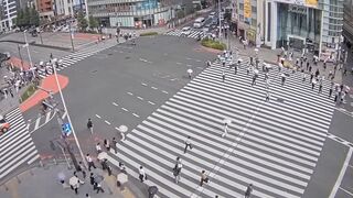 Electric scooter ran a red light accident in Shinjuku(Tokyo).