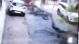 Motorcyclist Gets Crushed By Falling Tree