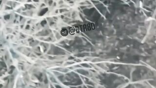 A UA soldier was hit by a mine and bled to death
