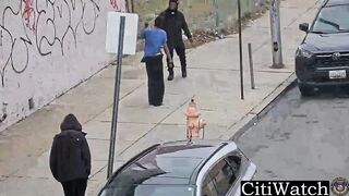 Baltimore Police Shoot Suspect Who Grabbed Officer’s Taser in Western District