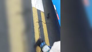 Bus Driver Has Fled After Crushing A Pedestrian To Death