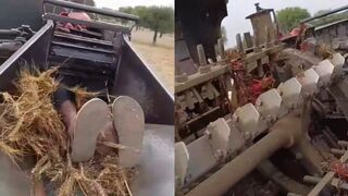 Horrific Thresher Accident in Rajasthan: Young Man Killed While Processing Wheat Crop