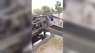 Horrific Thresher Accident in Rajasthan: Young Man Killed While Processing Wheat Crop