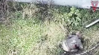 The Russian got fucking fed up