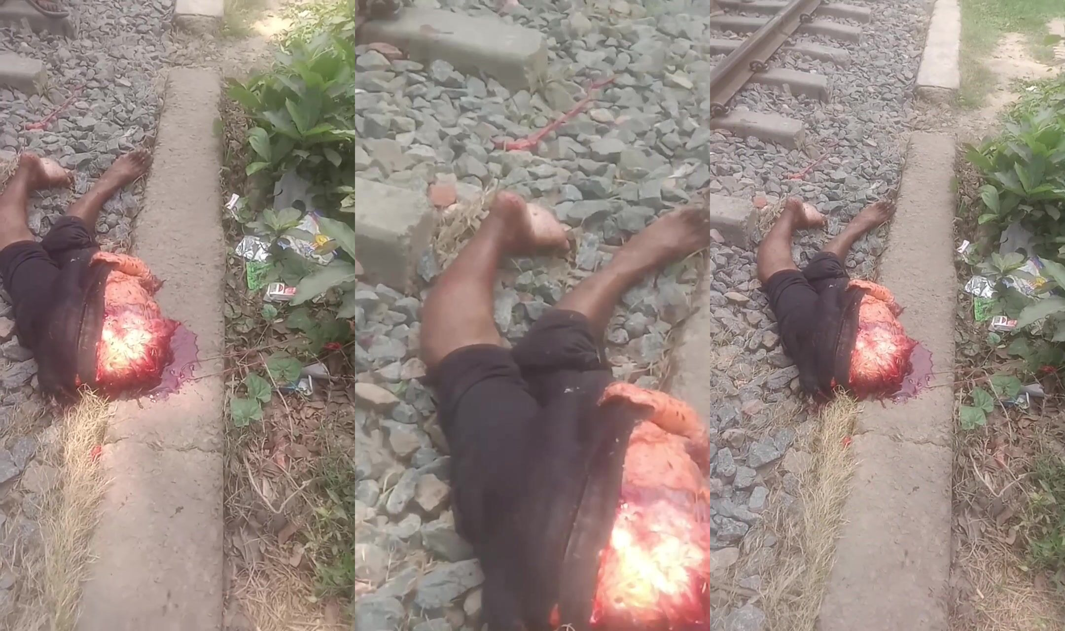 Hit by train and turned into a blob with feet