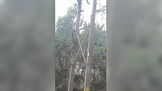 Man's Head Decapitated and Falls to Ground as 11,000 Volt Current Burns His Body on E