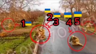 Another assault has come to an end.