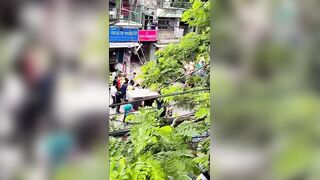 Painter Falls from Third Floor, Electrocuted in Mid-Fall and Smashes onto Pavement