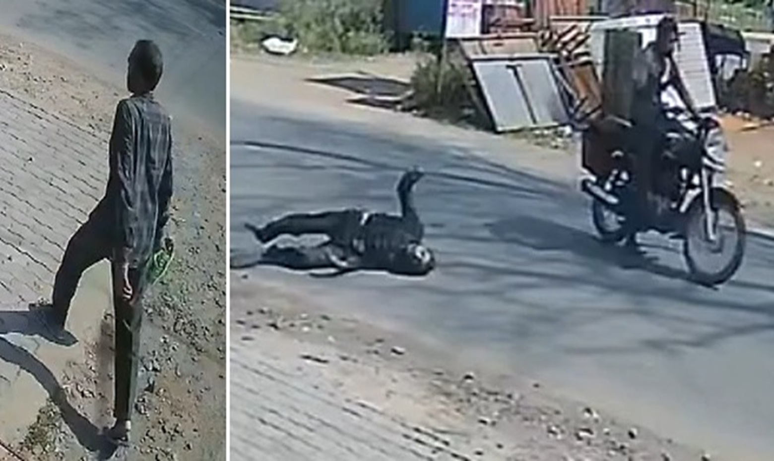 Shocking CCTV Footage Shows Fatal Impact on Retired Teacher in Jalaun