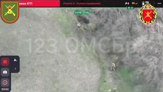 Ukrainian sees drone, ignores it, dies.