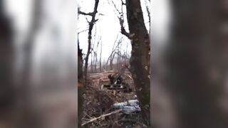 Russian Soldiers killing Ukrainian Terrorists
