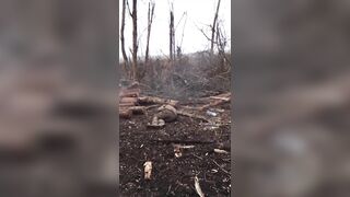 Russian Soldiers killing Ukrainian Terrorists