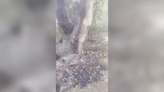 Man Burned Alive In front Of Son And Brother In Fiery Accidetn Caused By Stray Dog