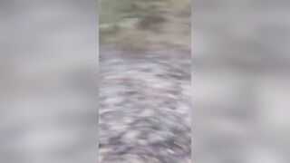 Man Burned Alive In front Of Son And Brother In Fiery Accidetn Caused By Stray Dog