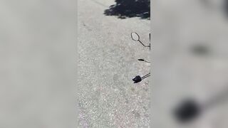 Phone Snatcher Gets Beaten By Locals In Belem, BR