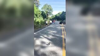 Car Occupants Check Couple They Just Killed In Traffic Accident