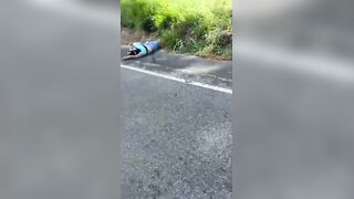 Car Occupants Check Couple They Just Killed In Traffic Accident