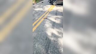 Car Occupants Check Couple They Just Killed In Traffic Accident