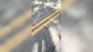 Car Occupants Check Couple They Just Killed In Traffic Accident