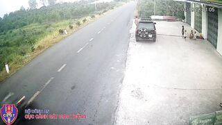 Tragic Accident: Child’s Football Causes Motorcyclist to Lose Control and Die