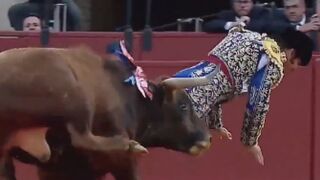 Bullfighter Gored In The Ass, Seriously Injured On Arena In Spain