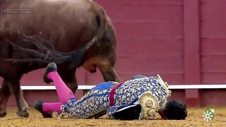 Bullfighter Gored In The Ass, Seriously Injured On Arena In Spain