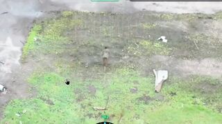 A perfect Russian flight with an incomplete landing.