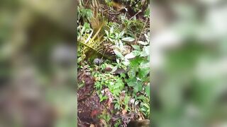 Decapitated Male Body Found Hidden In The Jungle