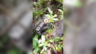 Decapitated Male Body Found Hidden In The Jungle