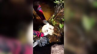 Decapitated Male Body Found Hidden In The Jungle