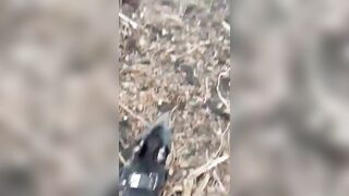 UK Man Found By Dog Walker Hung In Public Park