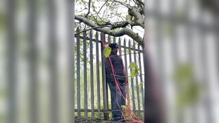 UK Man Found By Dog Walker Hung In Public Park