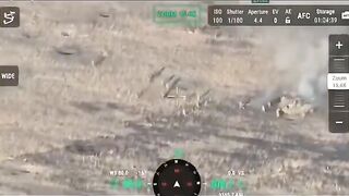 Russian orgy on a tank
