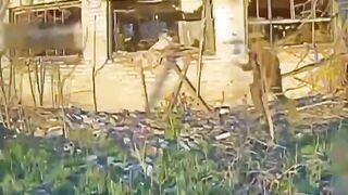 LoL "Orc enters combat with Ukrainian drone"