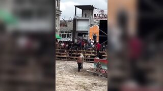 Bull vs Idiot 1:0
