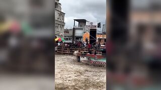 Bull vs Idiot 1:0
