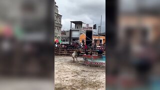 Bull vs Idiot 1:0