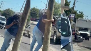 Woman Attacked By Bees, Stung  More Than 200 Times In Mexico