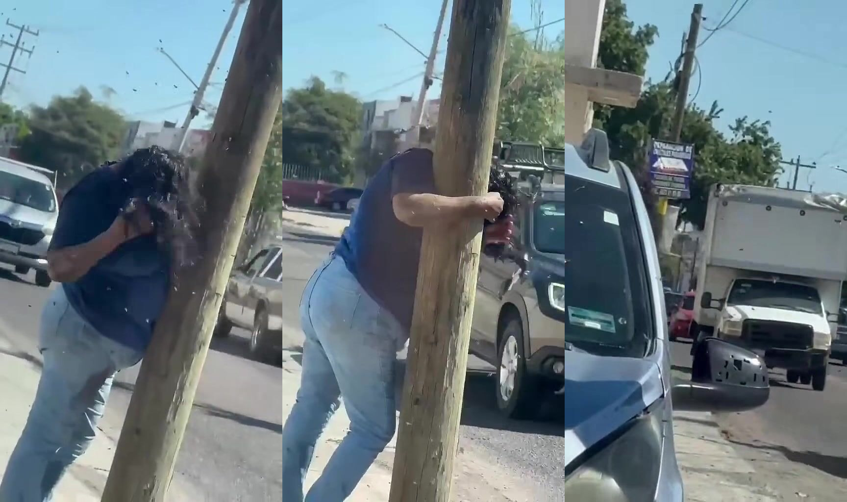Woman Attacked By Bees, Stung  More Than 200 Times In Mexico
