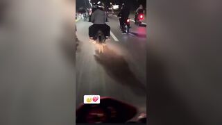 Motorcyclist Captures His Own Death on Camera in Horrific Illegal Race Collision