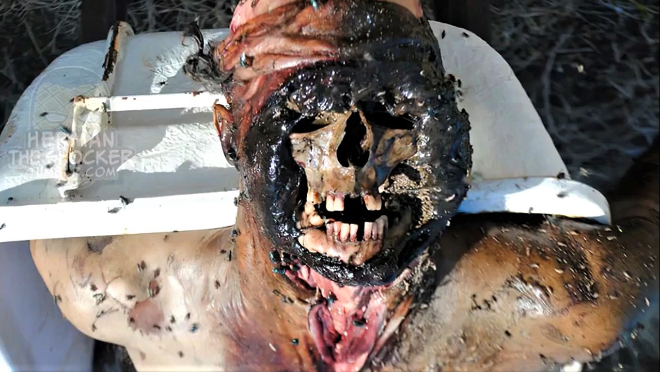 Rotting Corpses comp