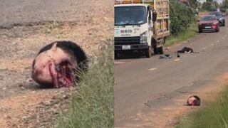Rider Decapitated After Collsion With A Truck