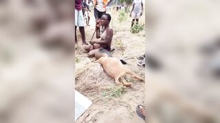 Woman Caught With Stolen Goats, Beaten By Village Authorities