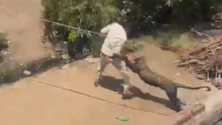 Leopard Attacking Forest Guards During Rescue Operation In India