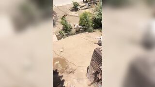 Leopard Attacking Forest Guards During Rescue Operation In India
