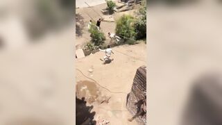 Leopard Attacking Forest Guards During Rescue Operation In India