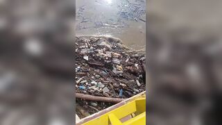 Live In Trash,, Die In Trash