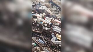 Live In Trash,, Die In Trash