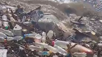 Live In Trash,, Die In Trash